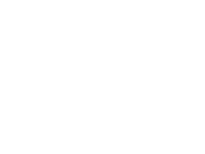 Duda Development